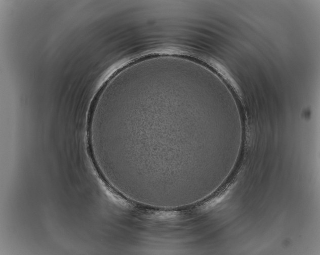 X0000090700845200707271107