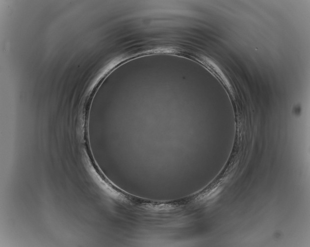 X0000090700851200707271107