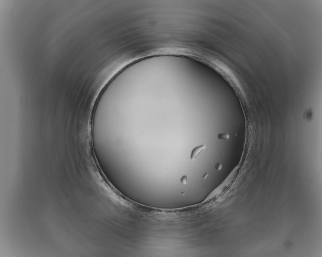 X0000090700852200707271107