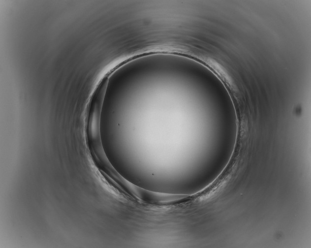 X0000090700854200707271107