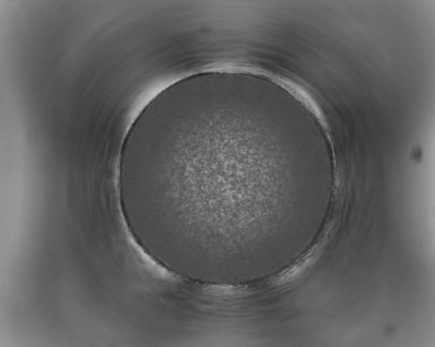 X0000090700855200707271107