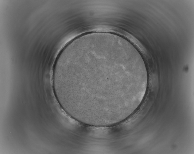 X0000090700856200707271107