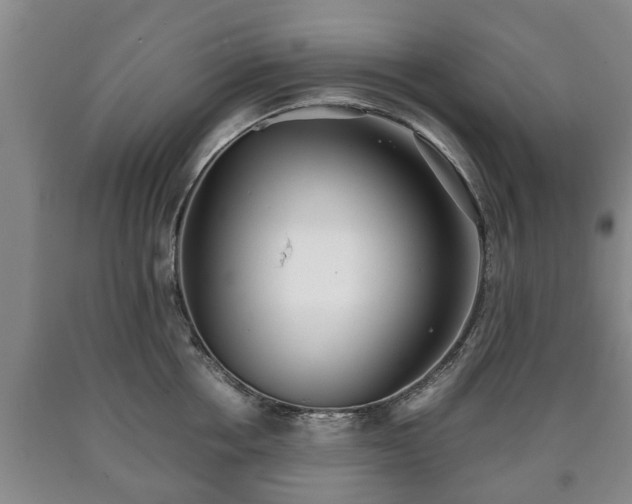 X0000090700858200707271107