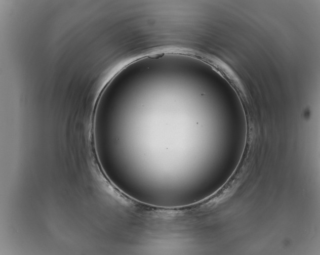 X0000090700860200707271107