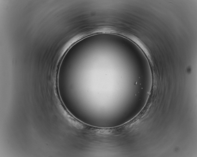 X0000090700861200707271107