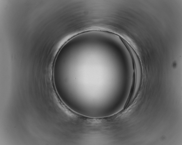 X0000090700862200707271107