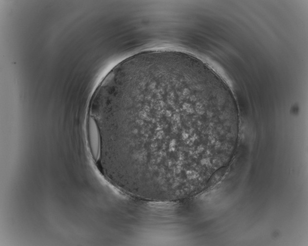 X0000090700863200707271107