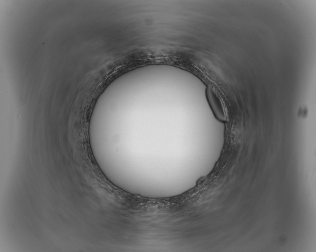 X0000090700865200707271107