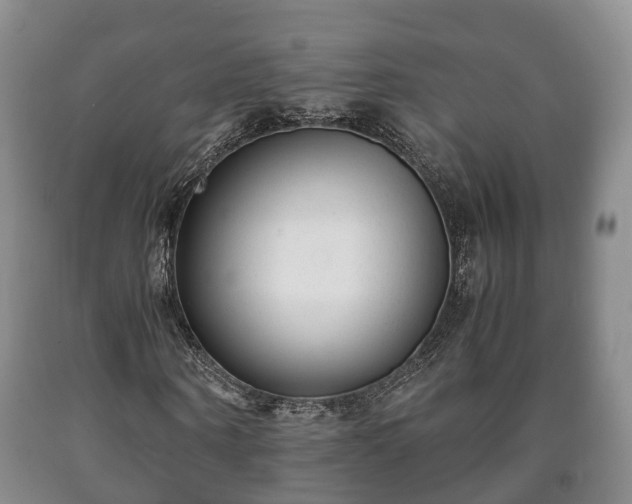 X0000090700866200707271107