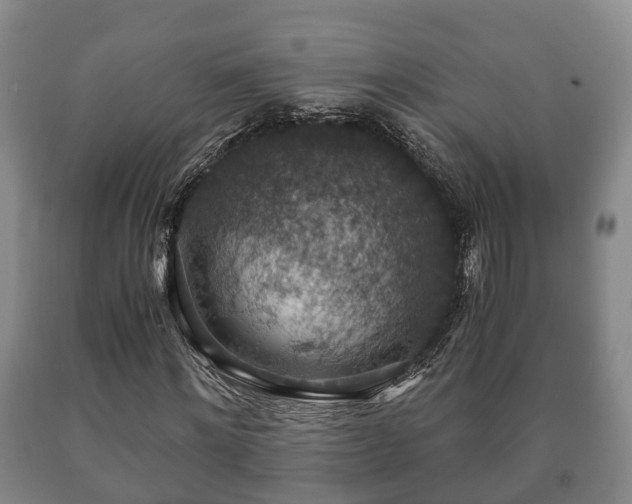 X0000090700868200707271107