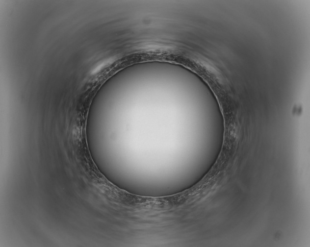 X0000090700869200707271107