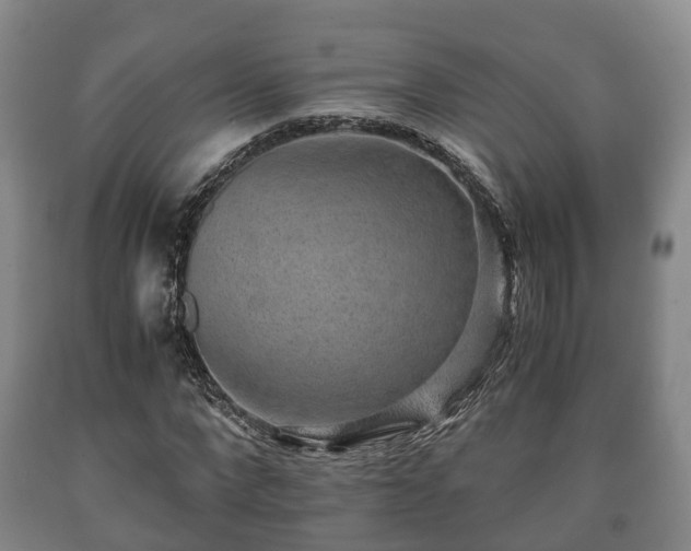 X0000090700872200707271107