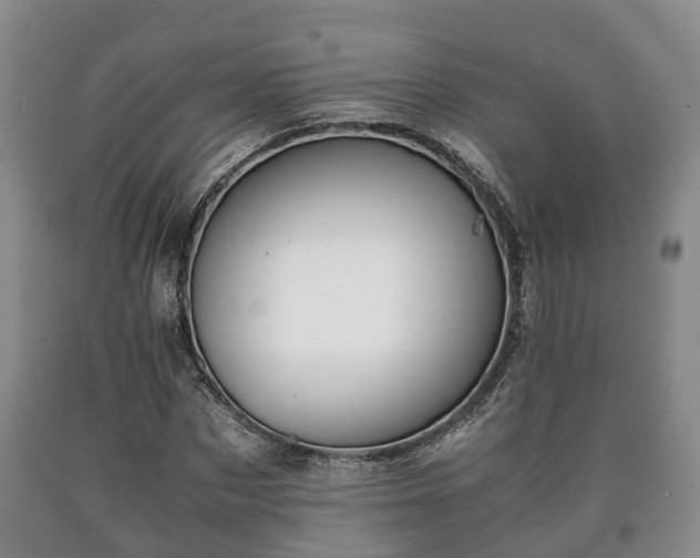 X0000090700873200707271107