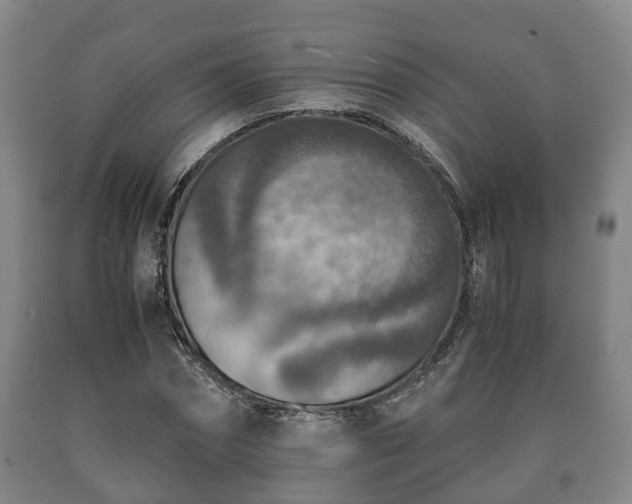 X0000090700874200707271107