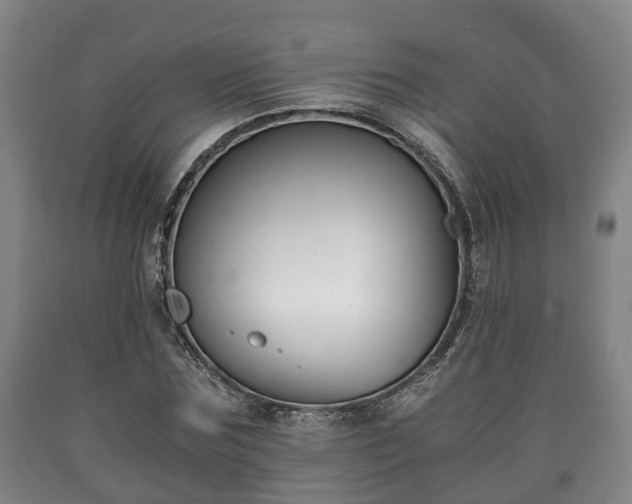 X0000090700875200707271107