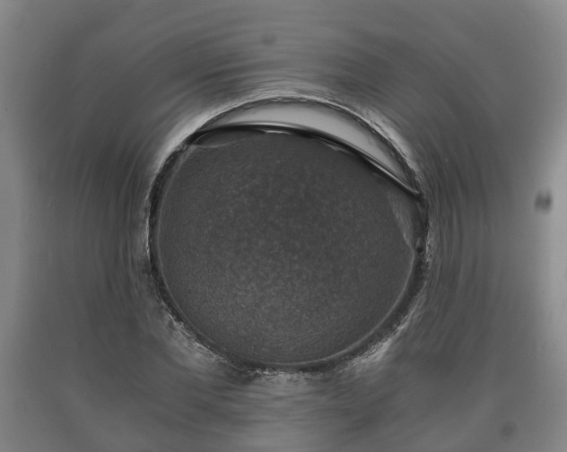 X0000090700877200707271106