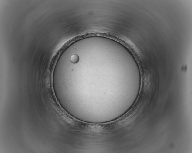 X0000090700878200707271106