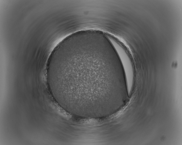 X0000090700879200707271106