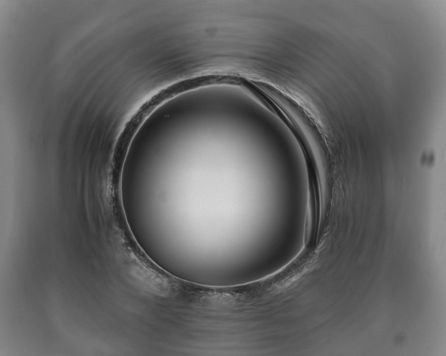 X0000090700880200707271106