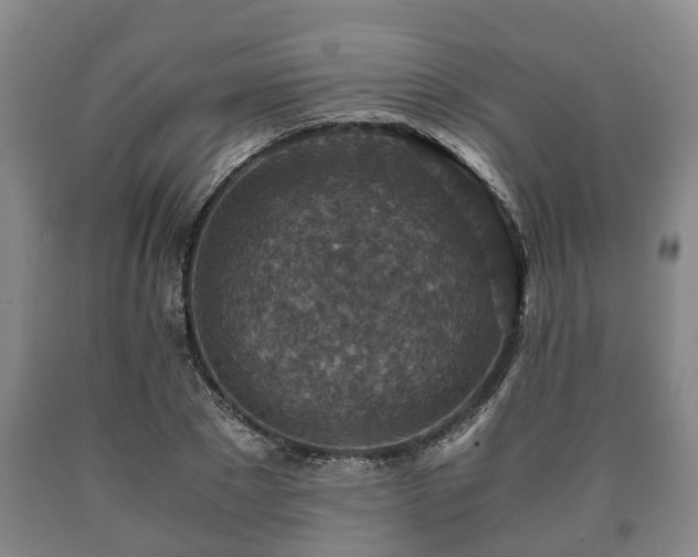 X0000090700881200707271106