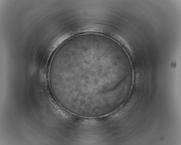 X0000090700882200707271106