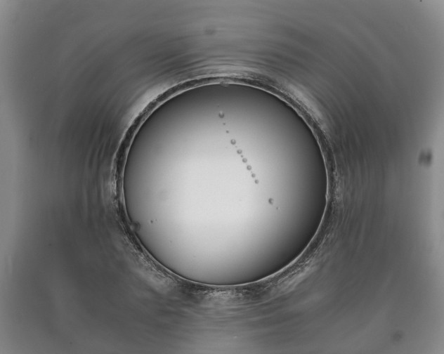 X0000090700883200707271106