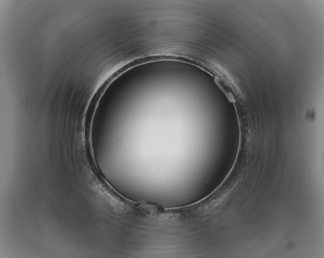 X0000090700884200707271106