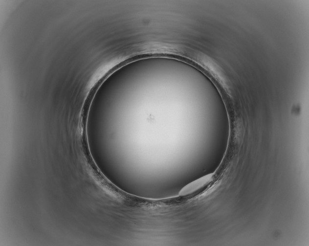 X0000090700885200707271106