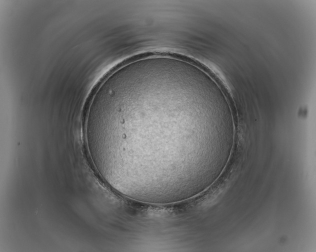 X0000090700887200707271106