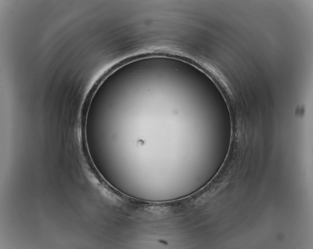 X0000090700888200707271106