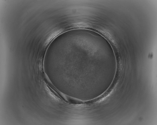 X0000090700889200707271106