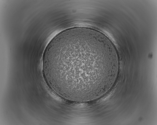 X0000090700891200707271106