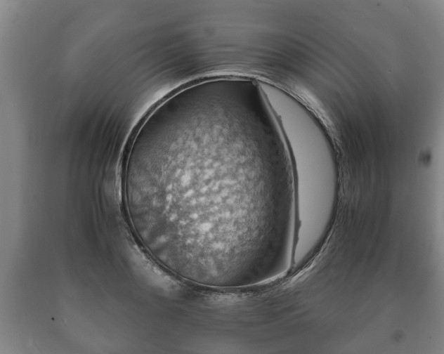 X0000090700892200707271106