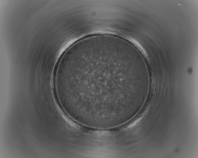 X0000090700893200707271106