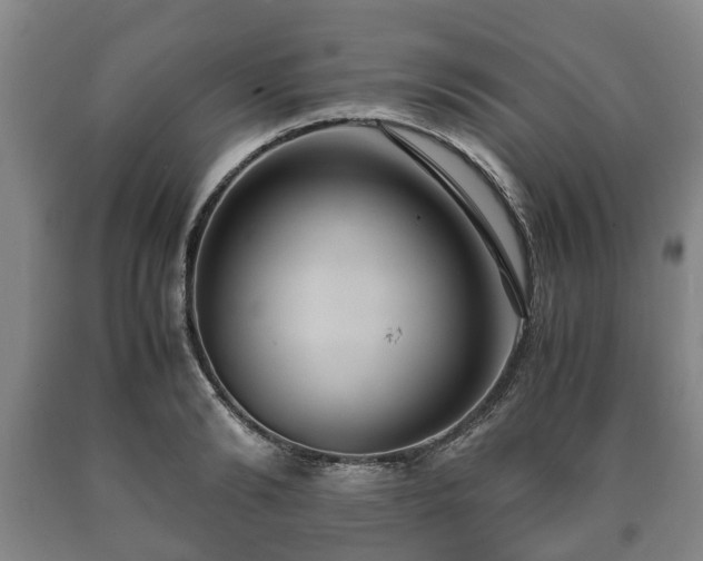 X0000090700894200707271106