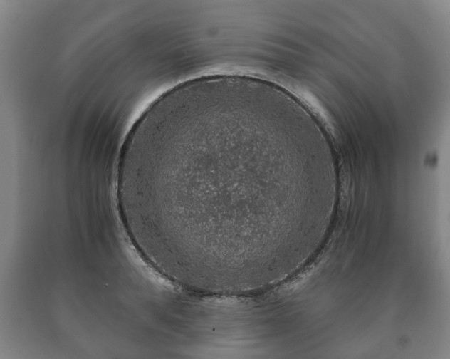 X0000090700896200707271106