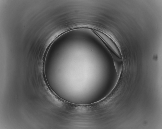 X0000090700898200707271106