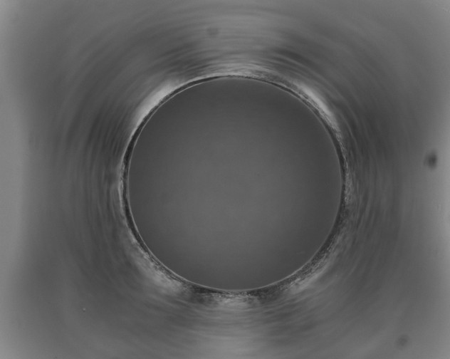 X0000090700899200707271106