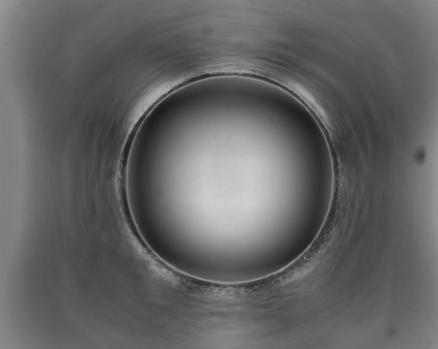 X0000090700901200707271106