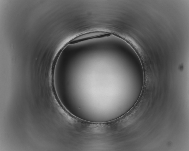 X0000090700902200707271106