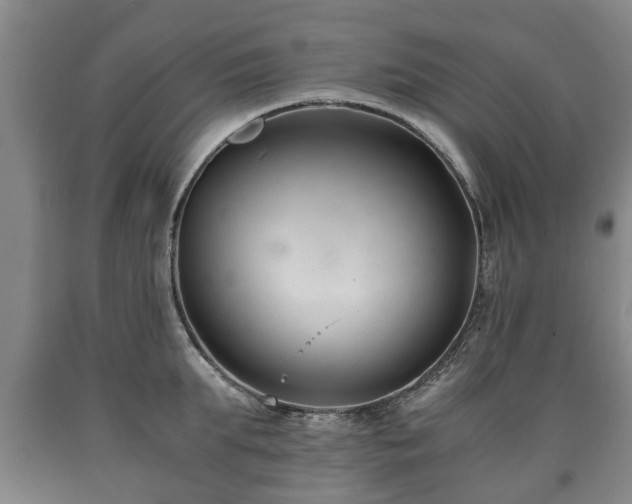 X0000090700903200707271106