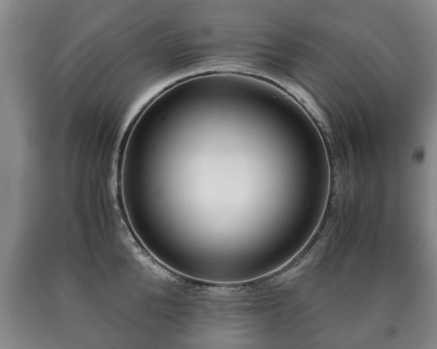 X0000090700904200707271106