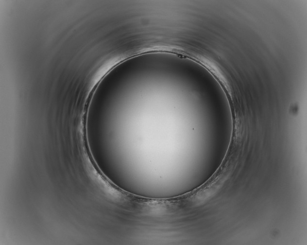 X0000090700906200707271106