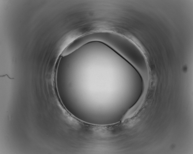 X0000090700909200707271106