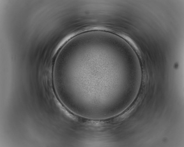 X0000090700910200707271106