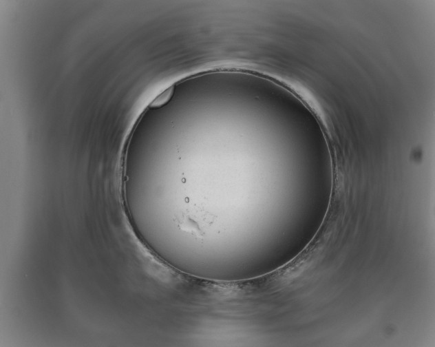 X0000090700911200707271106