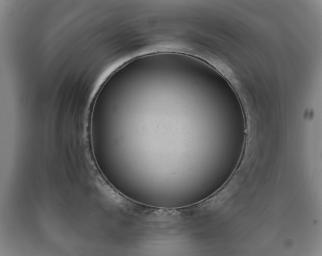 X0000090700912200707271106