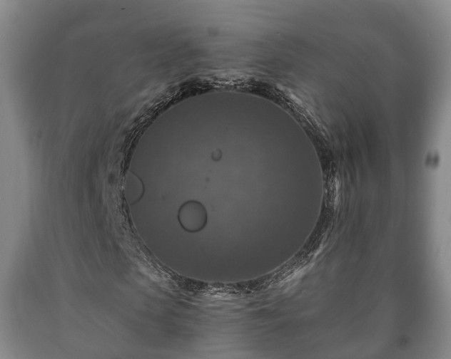 X0000090700913200707271105