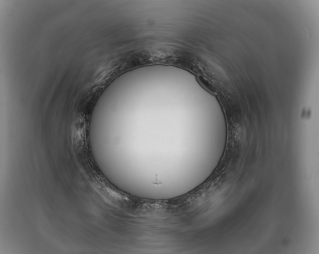 X0000090700914200707271105