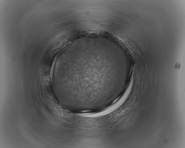 X0000090700916200707271105